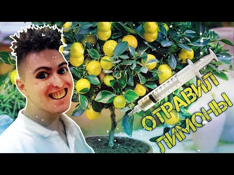 Видео: Школьные пакости #10 Отравил лимоны математика ! [РОСТЯН]