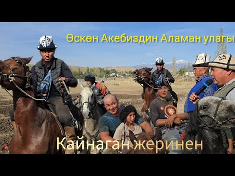 Видео: Өскөн балбандын Аламан улагы