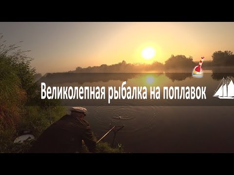 Видео: Рыбалка на поплавок р. Которосль 23.06.2021г.