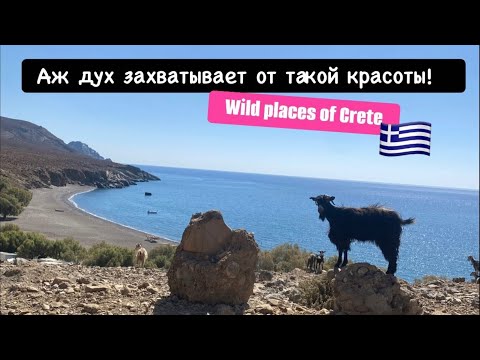 Видео: Лучше гор могут быть только горы плюс море. Еще одна жемчужина в моих турах.