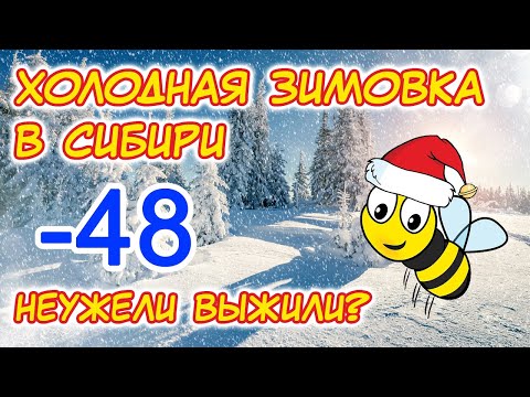 Видео: Холодная зимовка в сибири. -48 градусов. Как чувствуют себя пчелы.