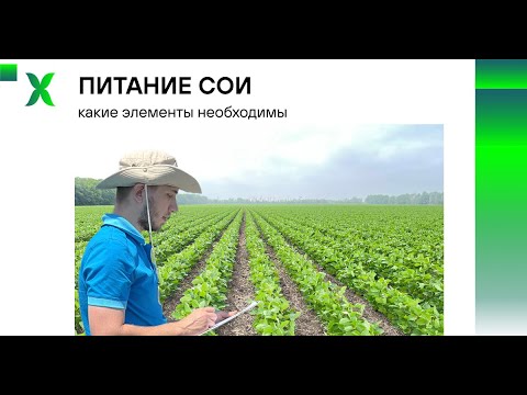 Видео: Минеральное питание сои / Потребность в элементах питания