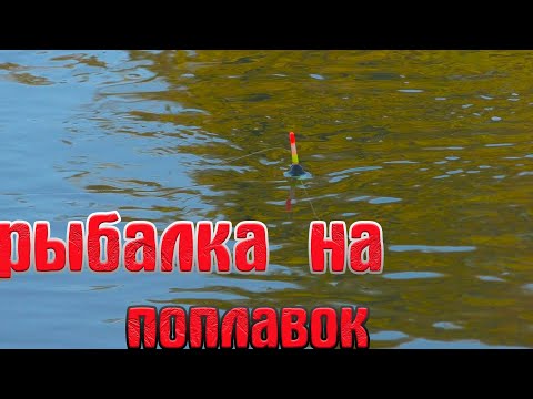 Видео: Рыбалка на речке в новых местах в октябре