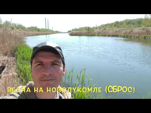 Видео: Рыбалка Новолукомль#2(Fishing in Belarus Novolukoml#2)( דיג בלארוס)