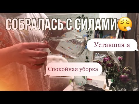 Видео: УБОРКА в стеллаже морских свинок🤍