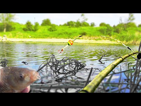 Видео: Рыбалка на боковой кивок на мастырку в корягах