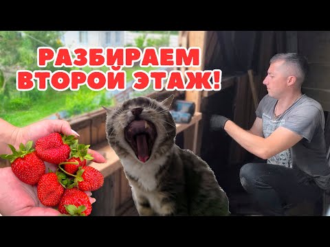 Видео: У НАС ШОК! ЛИСИЧКИ В НАЧАЛЕ ИЮНЯ! ДОБРАЛИСЬ ДО ВТОРОГО ЭТАЖА, МЕНЯЕМ СТАРОЕ ОКНО.