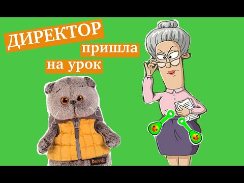 Видео: Зачем директор пришла на урок английского языка? В классе новенький! / Школа Басиков /