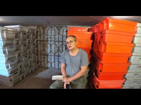 Видео: Разведение Дендробены . Советы для начинающих и не только... .