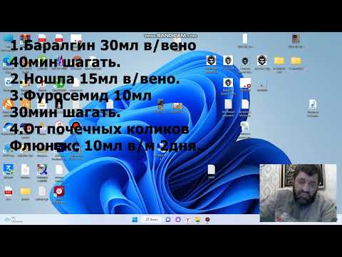 Видео: Обзор: лечим колики у лошадей