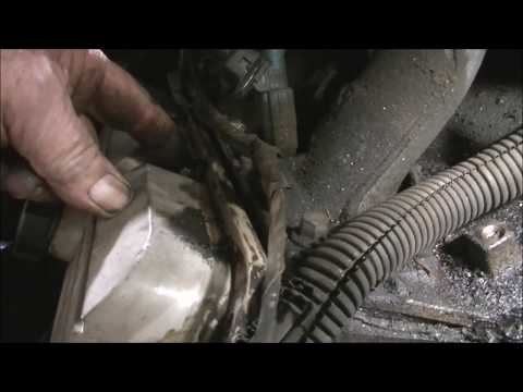 Видео: Ремонт протечки воды в VY Commodore 3800.