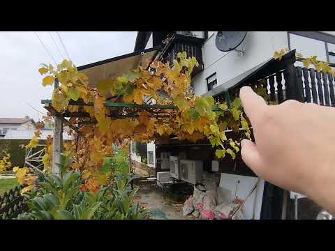 Видео: Почему мне придется устанавливать оптимизатор на солнечные панели.