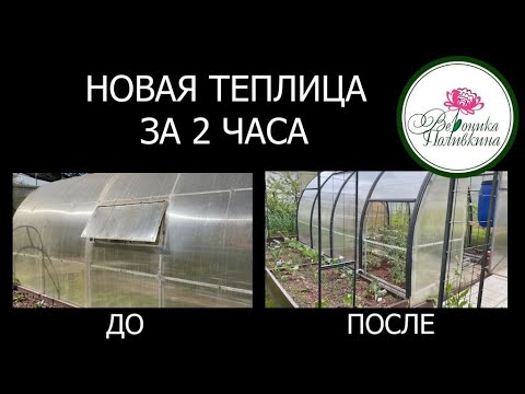 Видео: Советую только такие теплицы