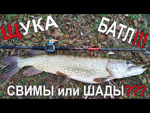Видео: Крупная резина! Свимбейты или шады? Трофейная щука
