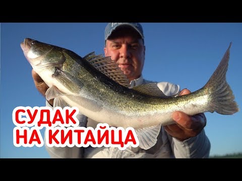 Видео: ПРОВОДКИ и ПРИМАНКИ! Рыбалка на судака на КИТАЙСКИЙ спиннинг!