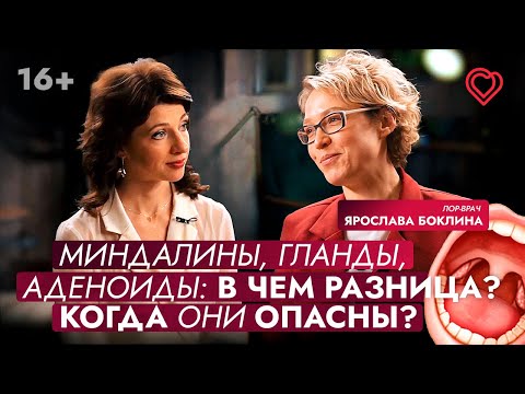 Видео: Миндалины, гланды, аденоиды: в чём отличие? Когда это опасно?