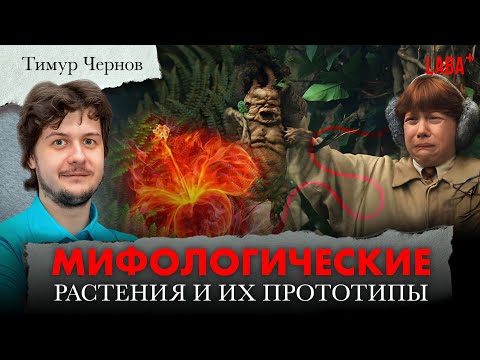 Видео: Мифологические растения и их прототипы. Тимур Чернов