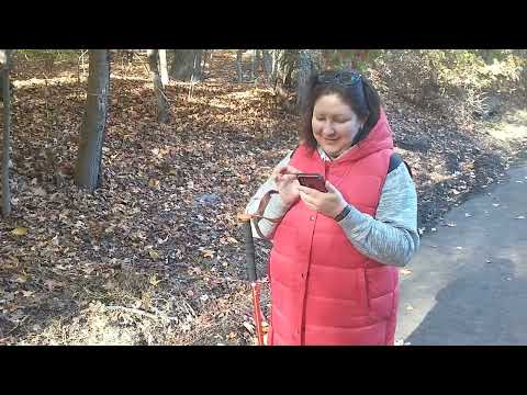 Видео: Находки  в осеннем лесу Нью-Йорка. Таинственные автомобили и секретное поле для гольфа.