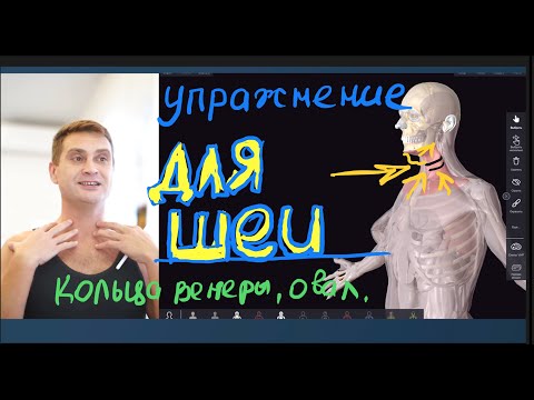 Видео: УПРАЖНЕНИЕ ДЛЯ ШЕИ - СРАЗУ УМЕНЬШАЕТ КОЛЬЦА ВЕНЕРЫ, УЛУЧШАЕТ ОВАЛ, УМЕНЬШАЕТ ВТОРОЙ ПОДБОРОДОК.