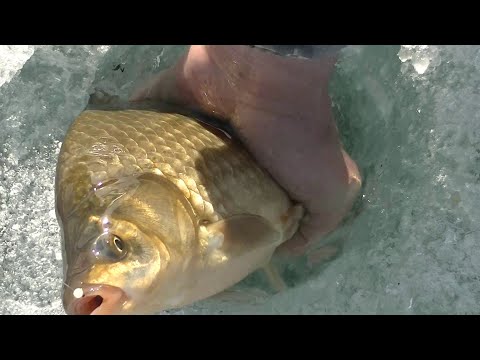 Видео: Черное озеро Хакасские караси не дают присесть дуплет на кресты часть 2