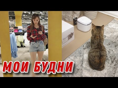 Видео: Люди - как "дрова" | Запутали в сроках | VLOG