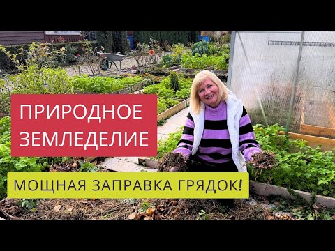 Видео: КАКУЮ ОРГАНИКУ БЕРЕМ ДЛЯ ГРЯДОК?!☝️❤️❤️5 СЛОЕВ-ЭТО СИЛА!✊РЕЗУЛЬТАТ ПОРАДУЕТ ВЕСНОЙ!💯%🤩