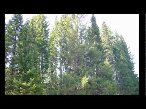 Видео: Азигулово