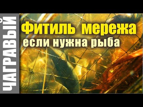 Видео: Чем деды ловили рыбу: фитиль, вентель, морда, мережа | Мини-обзор