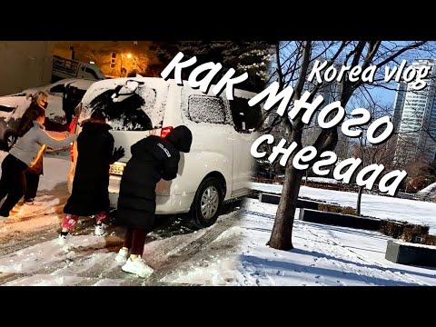 Видео: Снегопад в Корее 2021/Korea snow/눈덮힌 한국/KOREA VLOG
