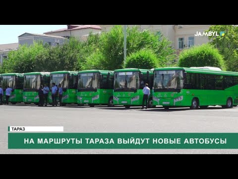 Видео: На маршруты Тараза выйдут новые автобусы