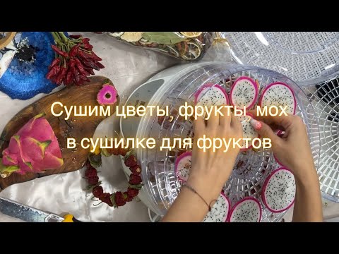 Видео: Сушим цветы, фрукты овощи мох