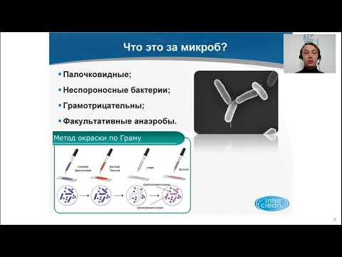 Видео: Вебинар Salmonella – проблема и решение.