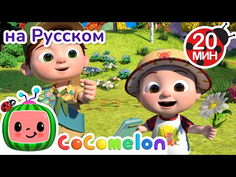 Видео: В путь с Джей-Джеем и Бинго — узнаём природу! 🌿🐾| CoComelon на русском — Детские песенки
