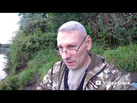 Видео: Очень редкие поклевки подлещика в течении дня! 