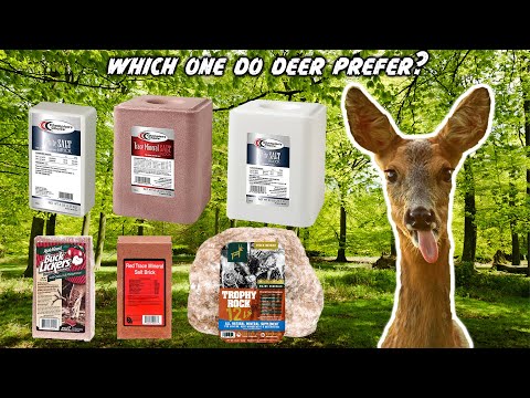 Видео: Хотите купить оленью соль? Сначала посмотрите это видео.