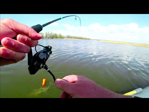 Видео: СУДАЧАРА ухватил ТЕЙЛ СПИННЕР/ЛОВЛЯ СУДАКА С ЛОДКИ ВЕСНОЙ 2023 #судак #спиннинг