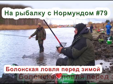 Видео: Болонская ловля перед зимой. На рыбалку с Нормундом #79