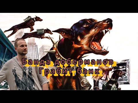 Видео: Доберманы грабили банк