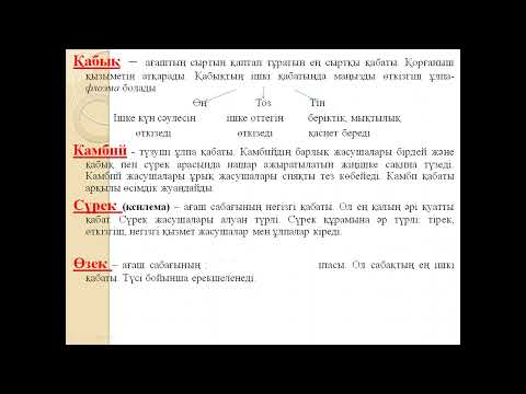 Видео: Биология