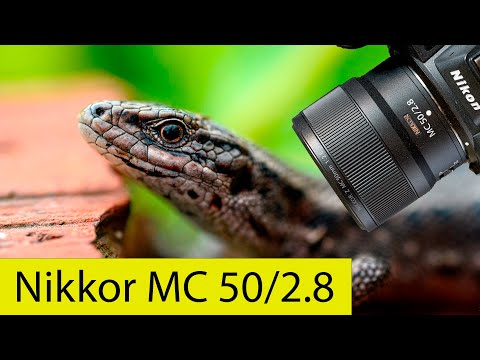 Видео: Nikkor Z MC 50/2.8 S. Макро-кит для Nikon Z