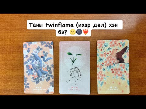 Видео: Таны twinflame (ихэр дөл) хэн бэ? 🌝🌚❤️‍🔥 | Хайр дурлалын мэргэ 🔮