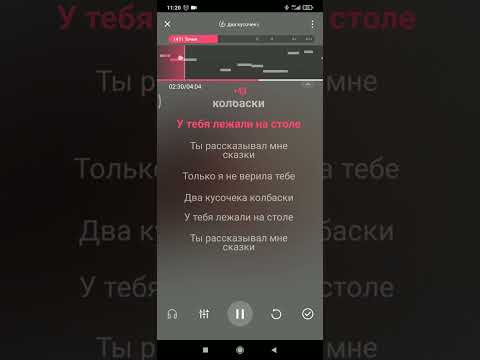 Видео: Караоке - Два кусочка колбаски (Комбинация)