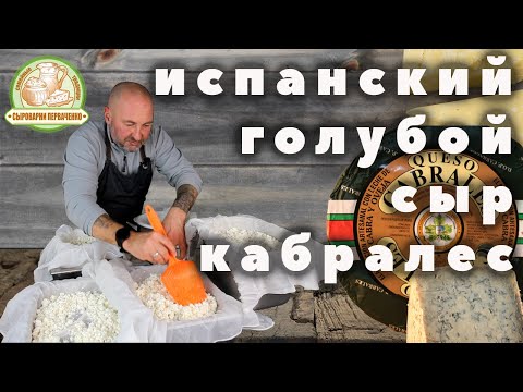 Видео: Испанский голубой сыр Кабралес. Рецепт приготовления на сыроварне Перваченко.