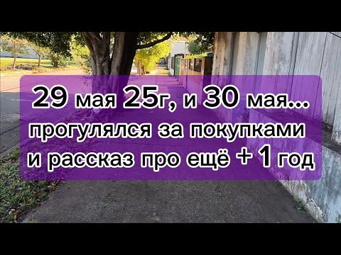 Видео: Меня ждёт ещё один год в Парагвае 🇵🇾 2025 - 2026