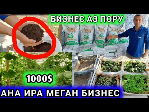Видео: Бизнес нав дар Точикистон барои деҳқонҳо дар  Биогумус як моҳ 1000$