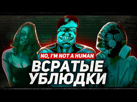 Видео: Хорошие мемы, но плохая игра | No, I’m not a Human