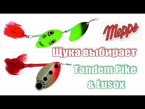 Видео: Щука выбирает - #Mepps #Tandem Pike & #Lusox  Ну очень клюет! Осенняя щука!