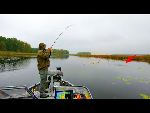 Видео: Рыбалка по болотам! Ловля щуки в траве на джерки, колебалки и силикон!