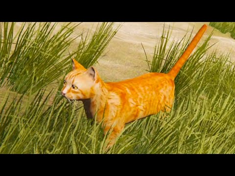 Видео: Симулятор Животных - Кошка, Белая Ворона и Кролик #1 Странные симы с Кидом на Пурумчата