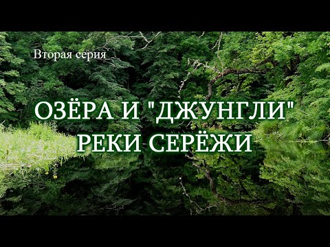 Видео: ОЗЁРА И ДЖУНГЛИ РЕКИ СЕРЁЖИ. Сказка джунглей